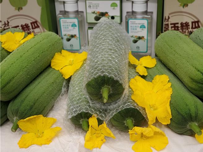 斗六市的翠玉丝瓜口感特别鲜甜、顏色翠绿，久放也不变黑，很受餐厅业者喜爱。（周丽兰摄）