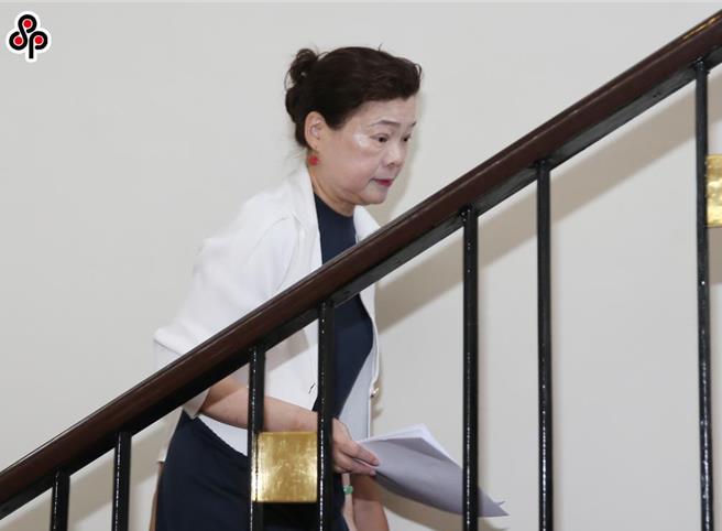 经济部长王美花30日前往立法院，出席电价冻涨案的朝野协商。（姚志平摄）