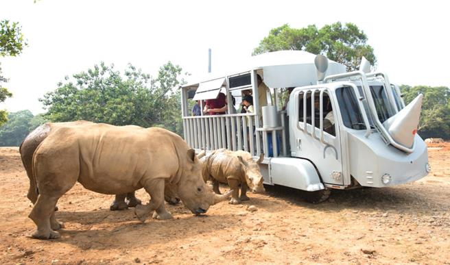 关西六福庄「动物派对-动物狂欢YA」住房专案，可择一体验苏丹犀望巴士等三种设施。（关西六福庄提供／粘耿豪台北传真）