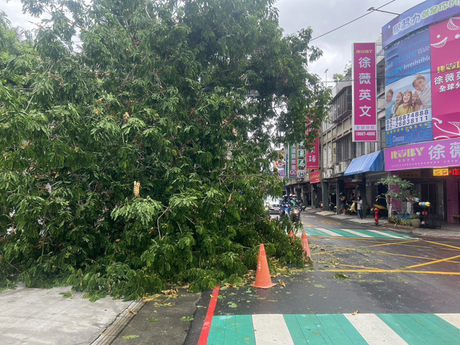 今（30日）下午15时许北部突然刮起一阵强风，新北市树林区千岁街发生一起路树倒塌。（图／警方提供）