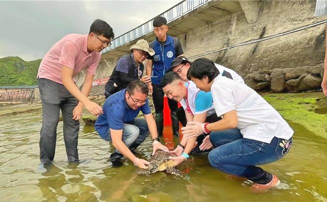 基隆市產發處與中華鯨豚協會、海科館等單位，30日下午成功野放受傷痊癒的玳瑁。（基隆市政府提供／張志康基隆傳真）