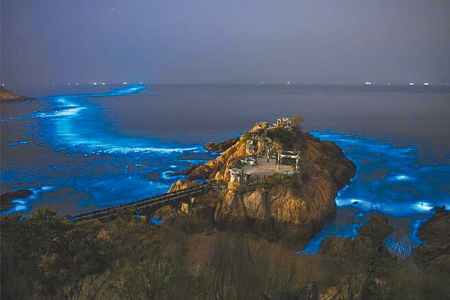 （圖／馬管處提供）