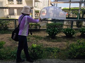 登革熱又牙起來！台南增第6例境外移入個案 4年同期最高