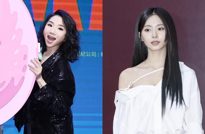 陶晶瑩挺身而出為周子瑜說話。（圖／中時資料照；達志影像）