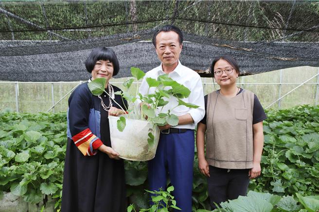 日前嘉义县长翁章梁前往阿里山上的山葵种植地关心復育情形。（嘉义县政府提供／吕妍庭嘉义传真）