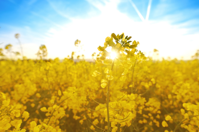 相傳立夏是門神生日，命理師提醒，勿在正門口穿鞋觸怒門神，影響自身的前途運勢。（示意圖：shutterstock／達志）