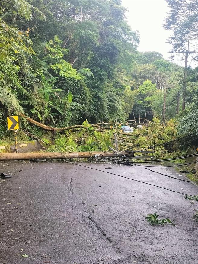 桃园市频传停电状况，桃园市长张善政呼吁新政府要虚心检讨过去错误的能源政策，图为1日復兴区停电状况。（台电提供／蔡明亘桃园传真）