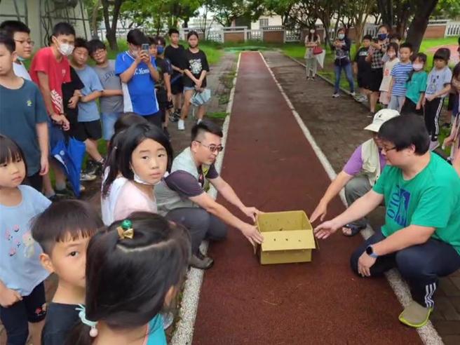 云林鸟会志工今天下午把这只蓝翅八色鸫送回和仁国小，校方在校园1楼野放，小朋友们排成2列队欢送，蓝翅八色鸫展翅飞走。（云林野鸟学会提供）