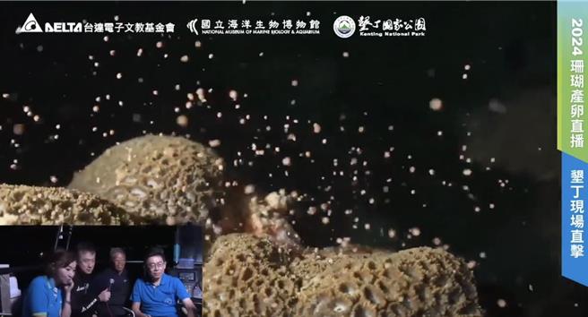 今天是妈祖生（农历3月23），屏东海生馆再度以水下直播的方式，带大家直击珊瑚产卵大爆发，画面彷佛星空般，美得超梦幻。（翻摄画面／谢佳潾屏东传真）