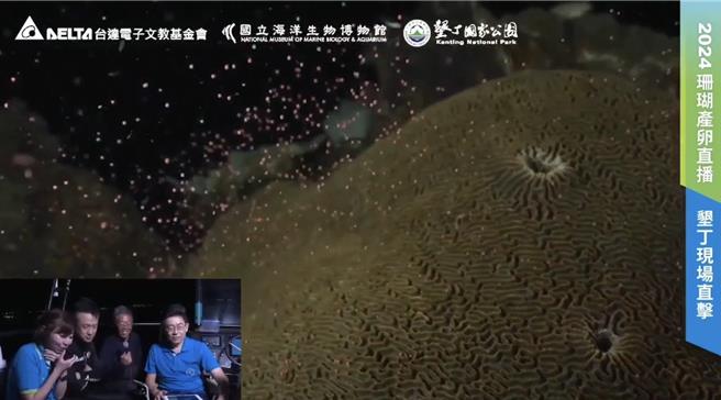 今天是妈祖生（农历3月23），屏东海生馆再度以水下直播的方式，带大家直击珊瑚产卵大爆发，画面彷佛星空般，美得超梦幻。（翻摄画面／谢佳潾屏东传真）