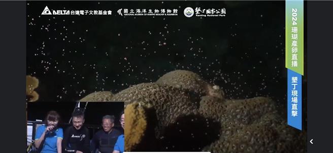 今天是妈祖生（农历3月23），屏东海生馆再度以水下直播的方式，带大家直击珊瑚产卵大爆发，画面彷佛星空般，美得超梦幻。（翻摄画面／谢佳潾屏东传真）