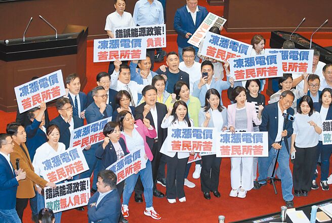 立法院4月30日院会处理电价冻涨案，在野党立委在表决中以人数优势通过冻涨案，并在议场内高举标语大喊「冻涨电价，苦民所苦」。（资料照/姚志平摄）