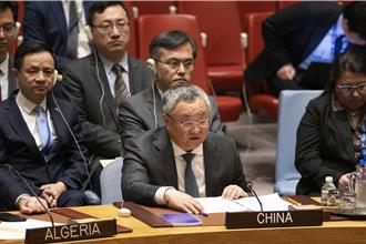 陸批美在以巴問題一再濫用否決權 阻巴加入聯合國