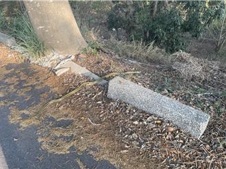 天熱「蛇」出來 自來水抄表員驚見納涼眼鏡蛇