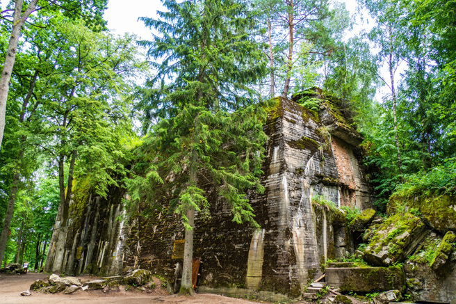 波兰歷史组织在希特勒于二战期间的军事指挥部「狼穴」中，发现5具失去手脚的人类遗骸。（图为狼穴：Shutterstock／达志）