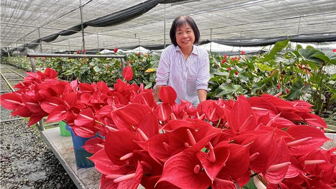 林芳珠表示，近来母亲节檔期，日本市场反倒是推广红、粉或紫这些鲜艳又喜气的顏色。（张毓翎摄）