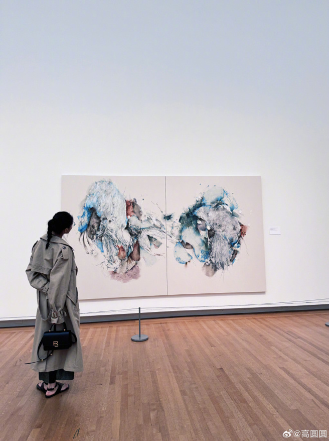 高圆圆看画展。（图／微博）