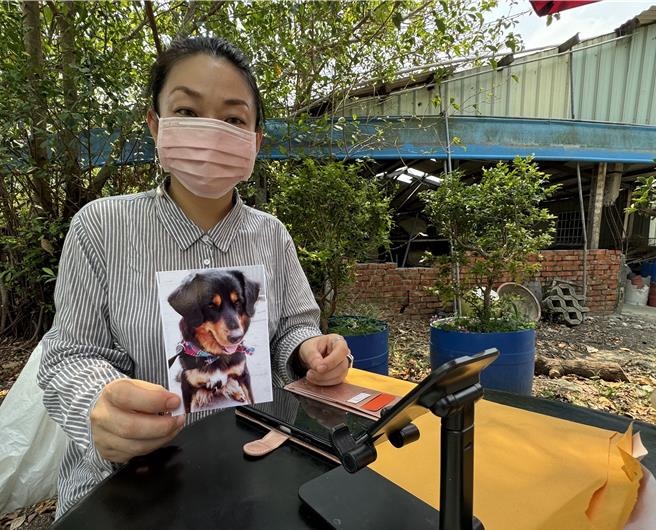 寵物心靈溝通師美蒨分享，寵物感知能力很強，每每諮詢都有許多出乎意料的結果。(曹婷婷攝)