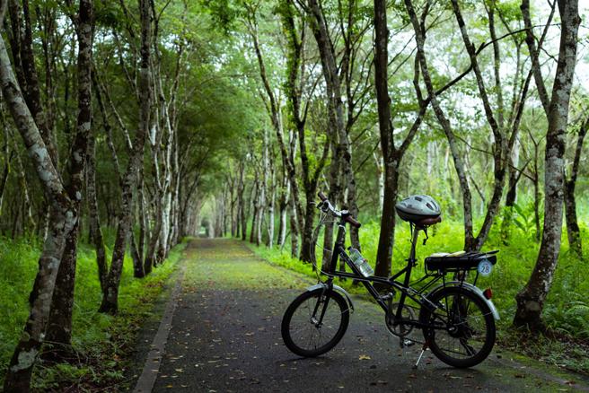 位于森林温泉线的大农大富平地森林园区，让人能够惬意骑车享受森林浴。 图/花东纵谷国家风景区管理处提供