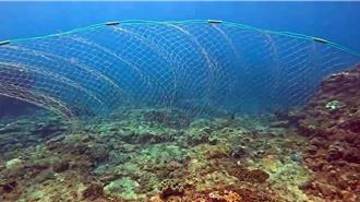 珊瑚产卵季惊见后壁湖海底飘大型渔网 潜水界怒斥生态浩劫