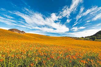 7／1上路 花東旅遊補助 每房最高1000元