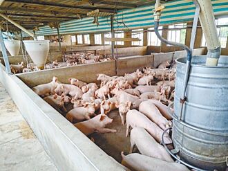 調降畜牧場設置距離 苗縣府提案遭退回