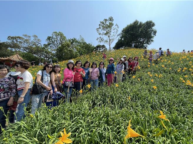 彰化縣花壇鄉虎山巖金針花季開幕後，4日將迎來花季首個周末，預計將湧入逾萬名遊客。（參山處提供／孫英哲彰化傳真）