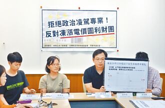 民團反對凍漲電價 批變相圖利財團