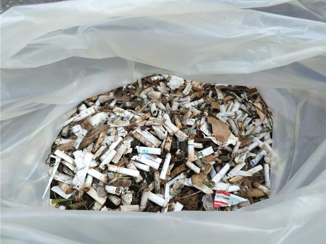 台南市北區4里發動志工撿菸行動，2小時就撿拾4600多支菸蒂，總重超過10公斤。（北區區公所提供／程炳璋台南傳真）