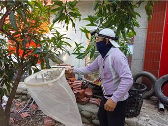 台南登革熱境外移入第7例 男遊馬爾地夫竟確診