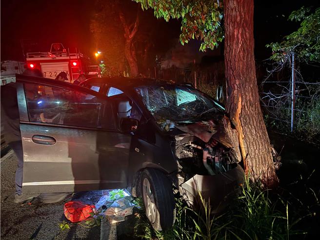 台东县池上乡5日发生车祸。（读者提供／蔡旻妤台东传真）
