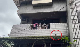 小白狗跌落遮雨棚受困 見警到場「汪汪」求救