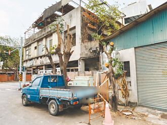 高雄芒果樹遭斷頭 挨批違修剪規範