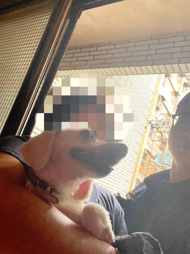 基隆警方日前接獲民眾報案，有小狗跌落遮雨棚。（翻攝畫面）