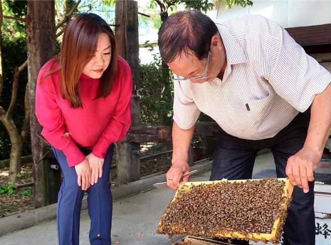 荔枝、龙眼开花率偏低，逐花而居的养蜂蜂农无蜜可採，立委马文君将要求农业部将蜂蜜纳入农业天灾现金救助项目。（马文君提供／杨静茹南投传真）