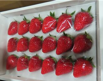 边境检验日本食品又出包 草莓验出农药、乌鱼子含致癌禁药