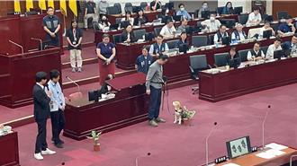 褐根病釀樹倒傷人 北市2偵測犬嗅不完20萬棵樹 擬與民間合作