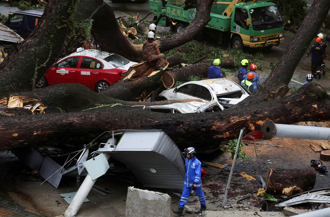 影》吉隆坡市中心 巨木倒塌 1死1傷 17車毀