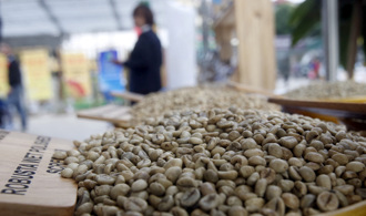 越南農夫棄守咖啡 平價豆期貨貴到破紀錄 「果王」脫不了關係