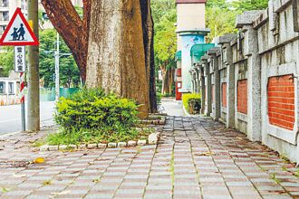 竹縣市修繕校園環境 維護校安