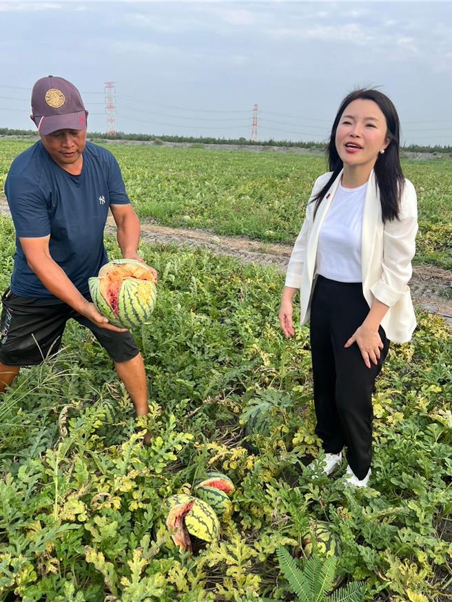 云林县近日天气多变，导致西瓜出现灾损，立委张嘉郡（右）7日前往二崙乡勘查西瓜裂果情形，发现许多西瓜因吸收过多水分整个破裂，希望农粮署尽速启动天然灾害救助程序，减少农民损失。（张嘉郡服务团队提供／张朝欣云林传真）