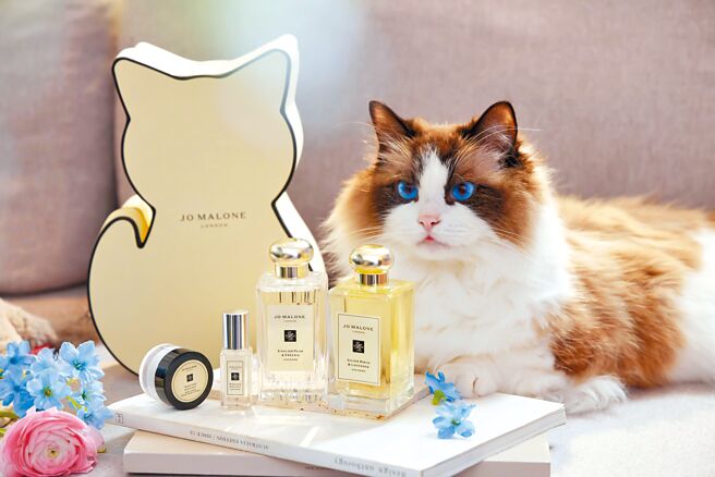 为宠爱动物的妈咪带来另一个惊喜！Jo Malone London为妈咪的香氛礼物添增童趣。（Jo Malone提供）