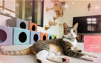 新竹縣推寵物友善空間計畫 與毛小孩一起吃喝玩樂