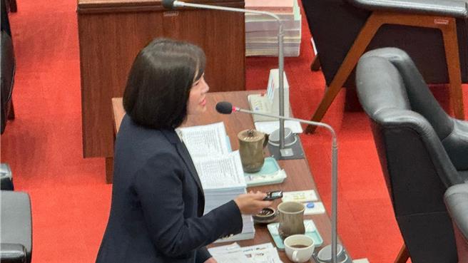 高市議員湯詠瑜今（9）日喊話，希望高雄市長陳其邁爭取泰勒絲開唱。（柯宗緯攝）