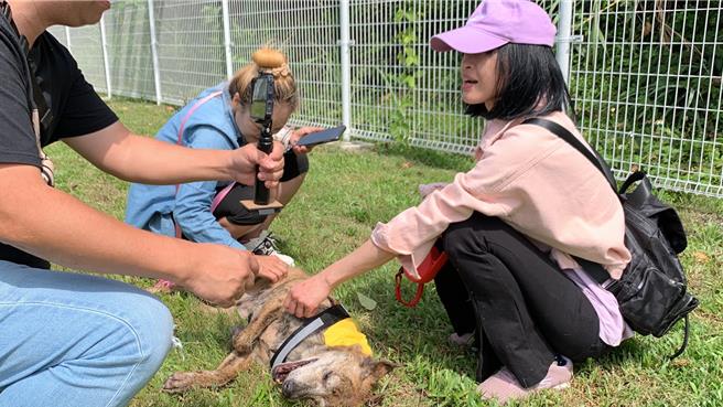 基隆市首座的寵物公園9日於暖暖運動公園內啟用。民眾表示狗狗對於寵物公園很「滿意」，還躺在地上翻肚了。（徐佑昇攝）