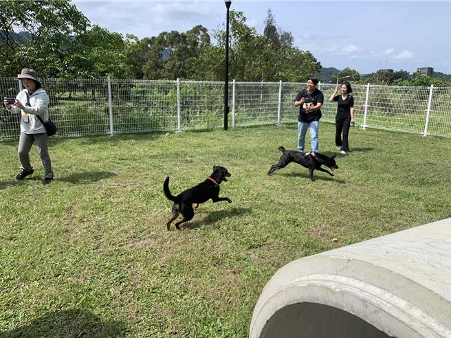 基隆市首座的寵物公園9日於暖暖運動公園內啟用。毛小孩們迫不及待在草地奔跑。（徐佑昇攝）