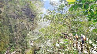 淡蘭百年山徑設台日交流牌 跨國背包客健走體驗山林之美