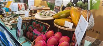 農遊券再現 發70萬張限定花蓮 上路日期曝