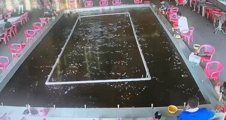 影》5.8強震瞬間！宜蘭釣蝦場「池面湧波浪」 釣客反應曝光