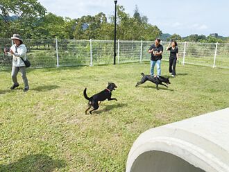 暖暖寵物公園開幕 毛孩樂到翻肚